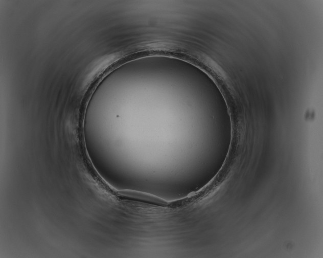 X0000091660930200708231302