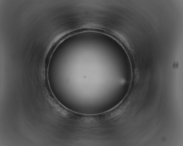 X0000091660931200708231302