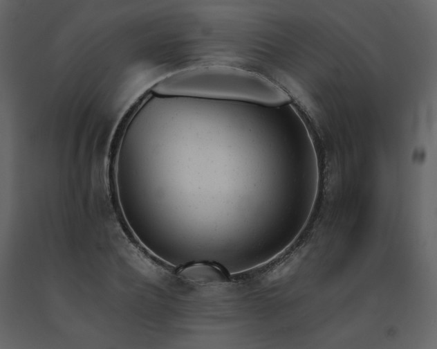 X0000091660932200708231302