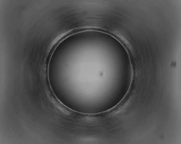 X0000091660933200708231302