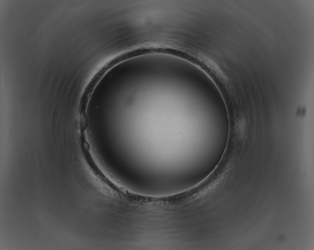 X0000091660934200708231302
