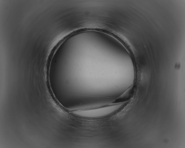X0000091660935200708231302