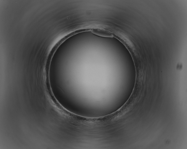 X0000091660936200708231302