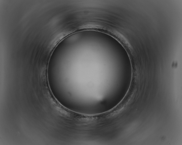 X0000091660937200708231302