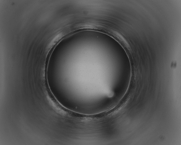 X0000091660938200708231302