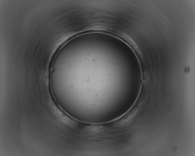 X0000091660939200708231302