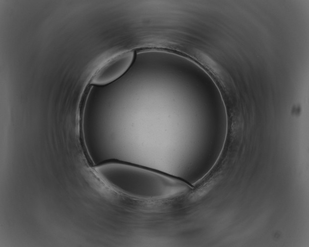 X0000091660940200708231302