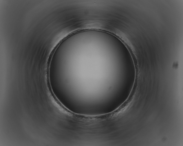 X0000091660941200708231302