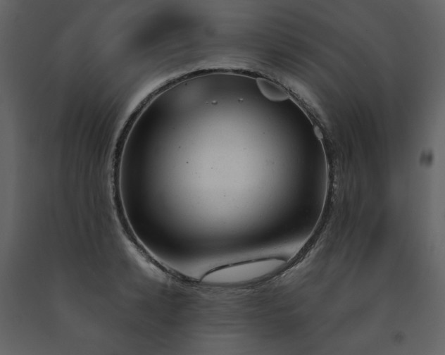 X0000091660942200708231302