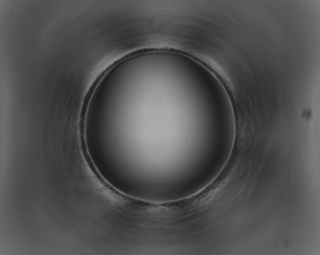 X0000091660943200708231302