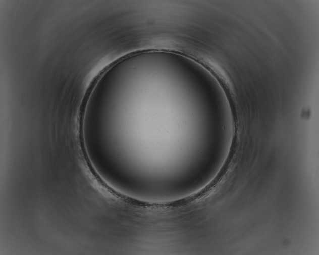 X0000091660944200708231302