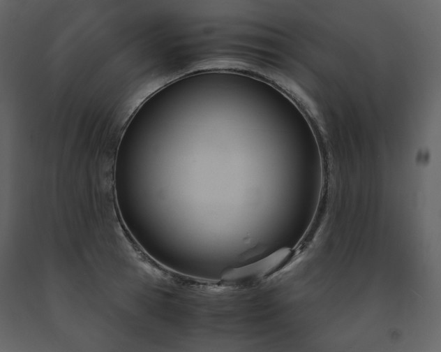 X0000091660945200708231302