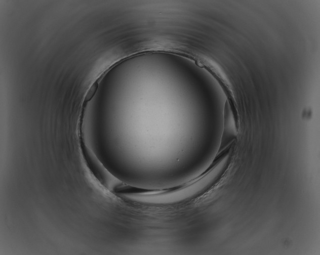 X0000091660946200708231302