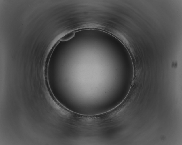 X0000091660947200708231302