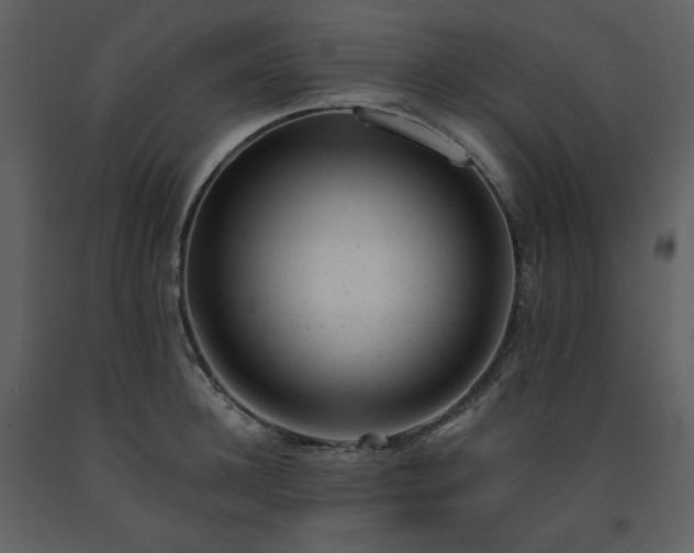 X0000091660948200708231302