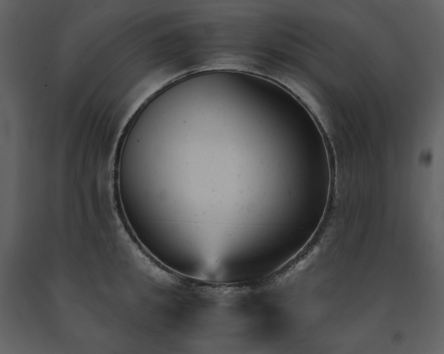 X0000091660949200708231302