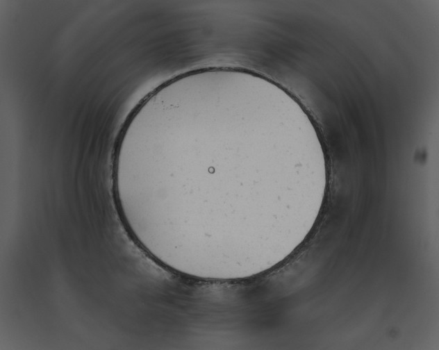 X0000091660950200708231302