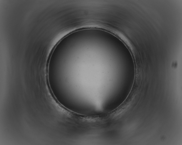 X0000091660951200708231302