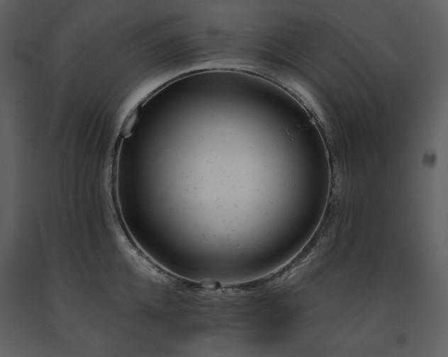 X0000091660952200708231302