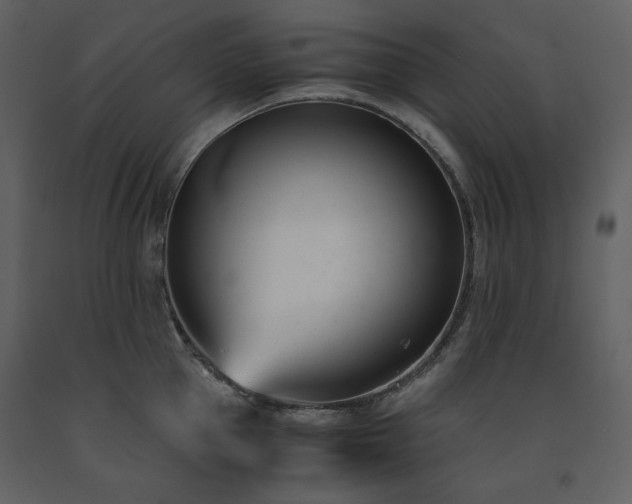 X0000091660953200708231302