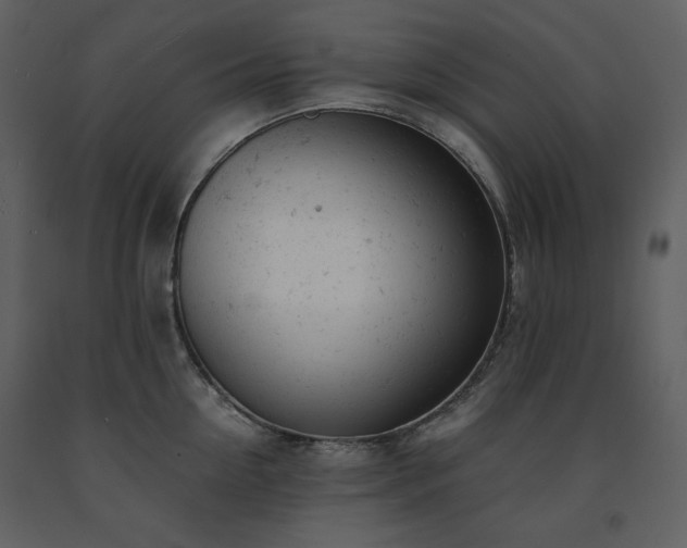 X0000091660954200708231302