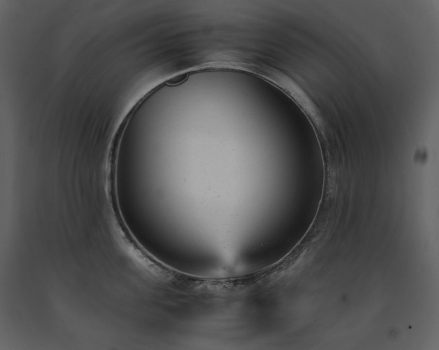 X0000091660955200708231302