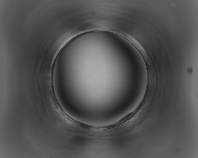 X0000091660956200708231302