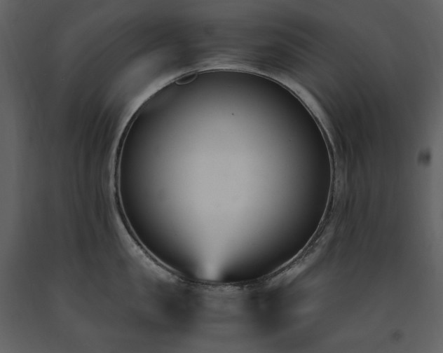 X0000091660957200708231302