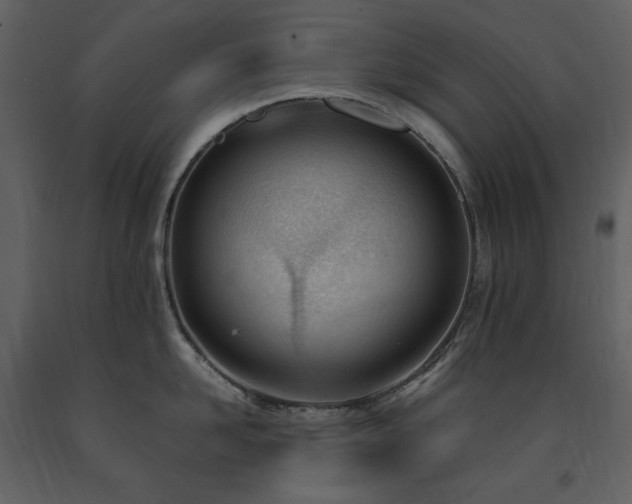 X0000091660958200708231302