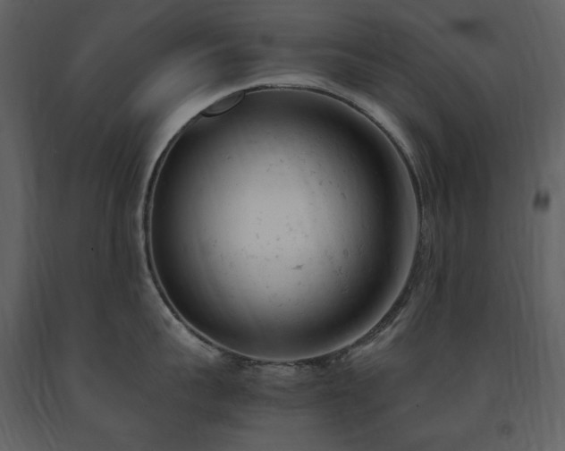 X0000091660959200708231302