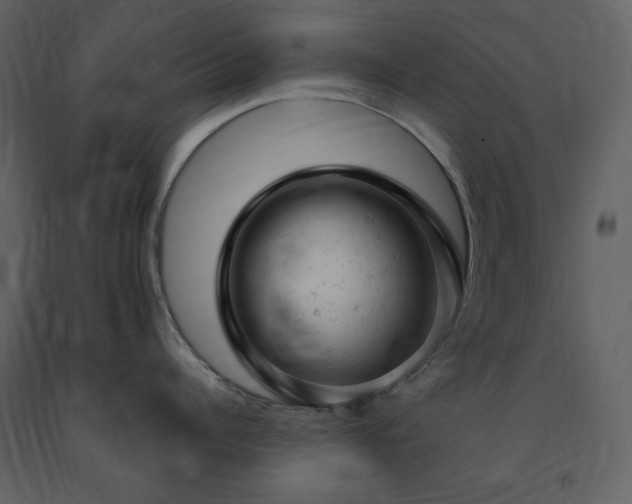 X0000091660960200708231302