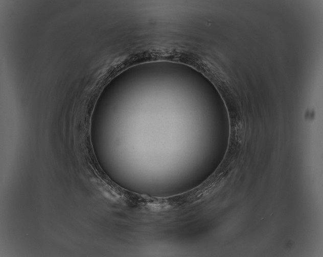 X0000091660961200708231302
