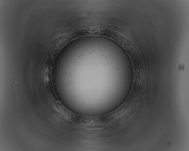 X0000091660962200708231302