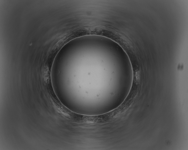 X0000091660963200708231302