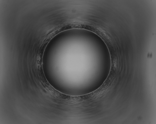 X0000091660964200708231302