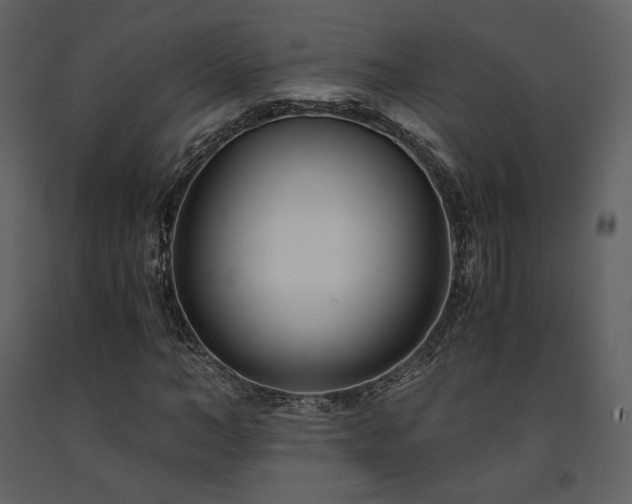 X0000091660966200708231302