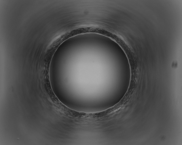 X0000091660967200708231302