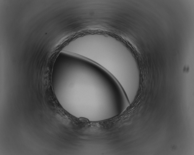 X0000091660968200708231301