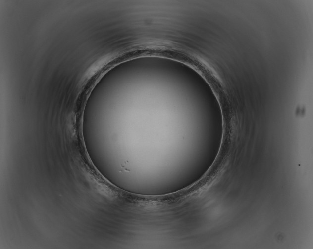 X0000091660970200708231301
