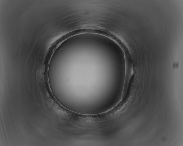 X0000091660971200708231301