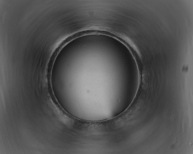 X0000091660972200708231301