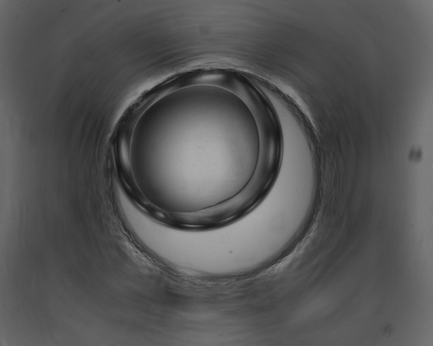 X0000091660973200708231301