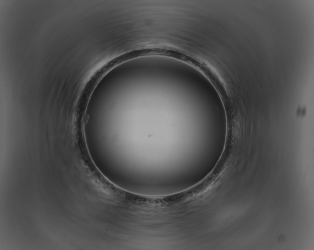 X0000091660975200708231301