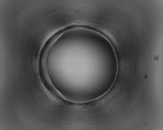 X0000091660976200708231301