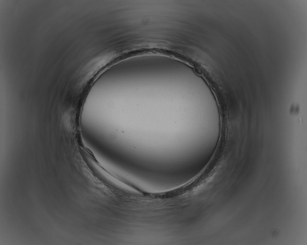 X0000091660977200708231301