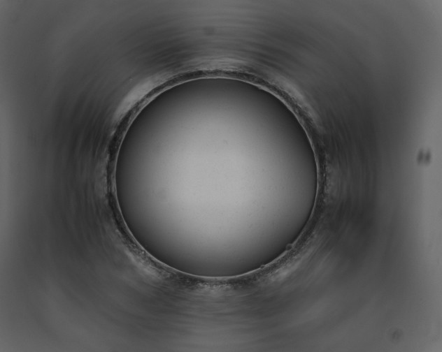 X0000091660978200708231301