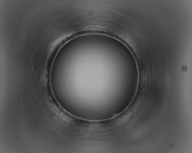 X0000091660979200708231301