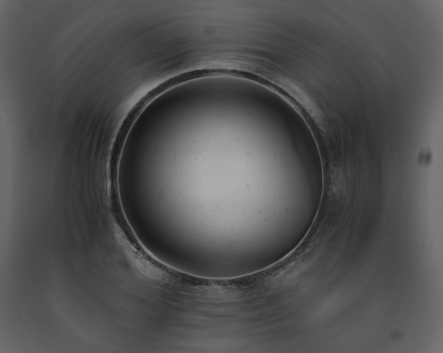 X0000091660980200708231301
