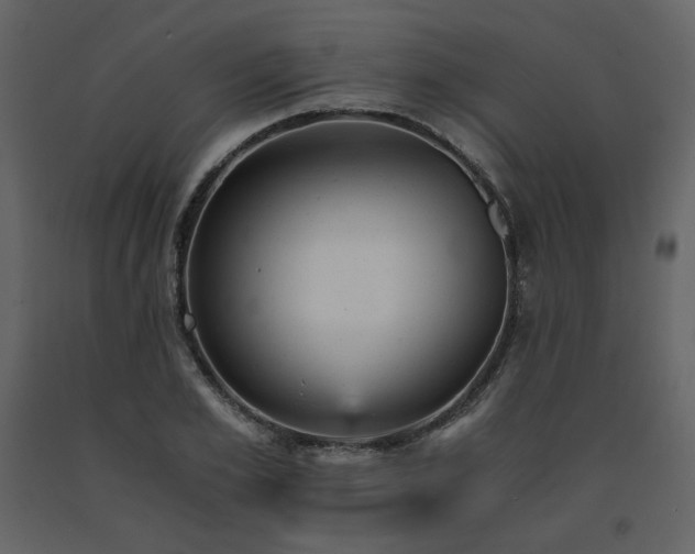 X0000091660981200708231301