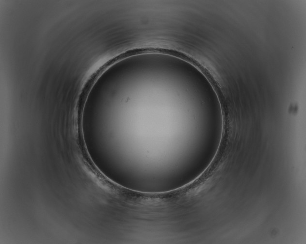 X0000091660982200708231301